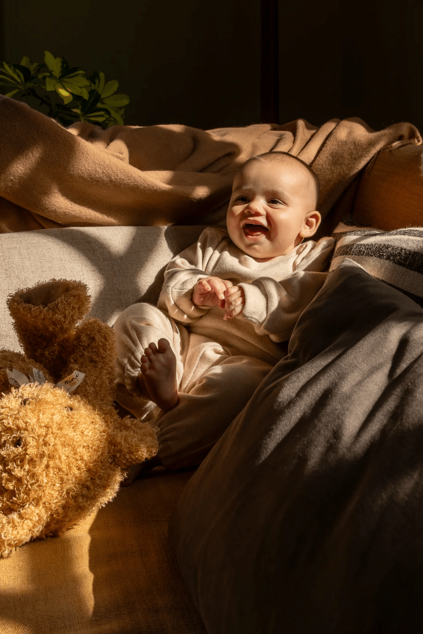 Chalk Mini Babies Chick Set Cream - Dotique - Chalk