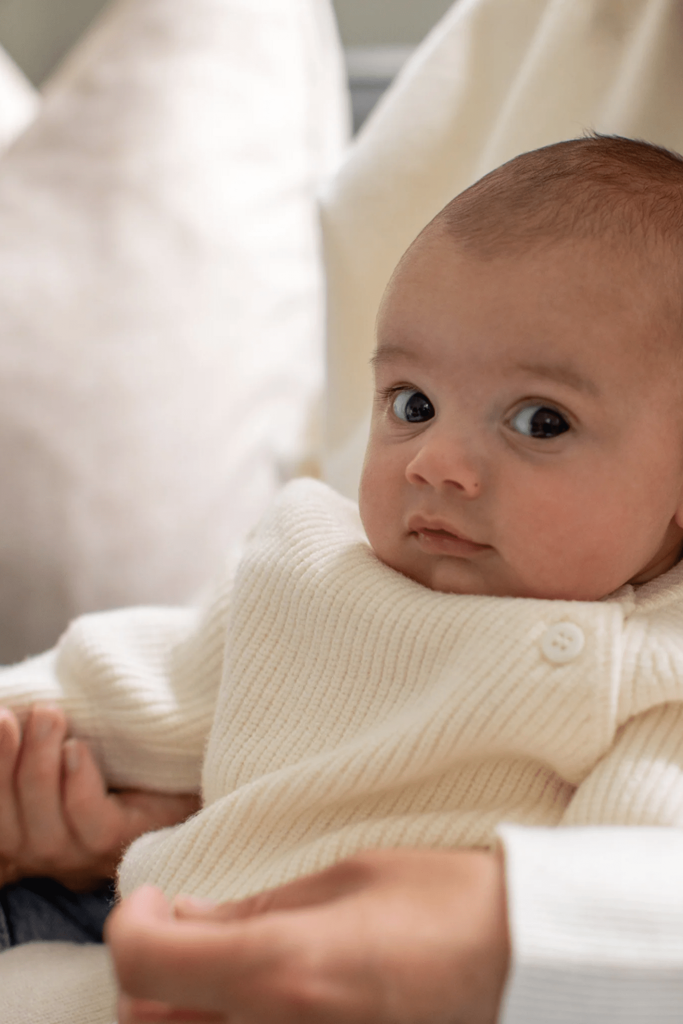 Chalk Mini Babies Piglet Set Cream - Dotique - Chalk