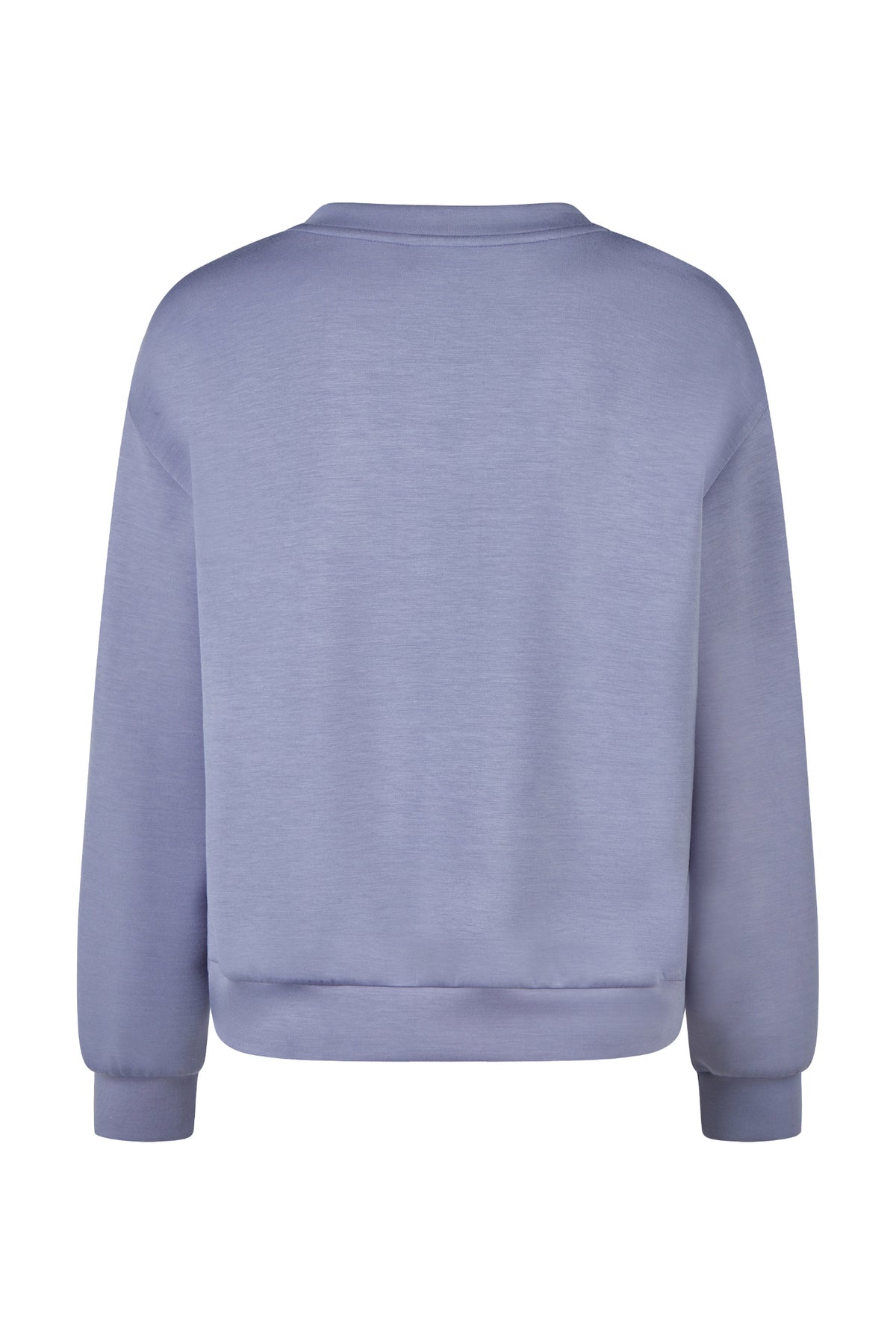Barbara Lebek 15251062 Sweatshirt - Faded Blue back view Shop Barbara Lebek at Dotique