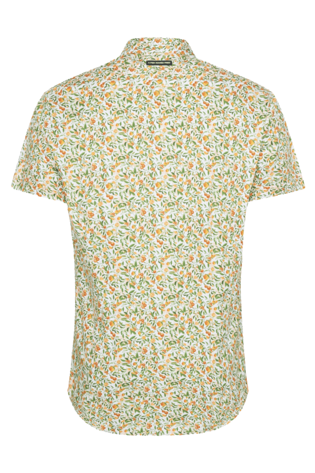 A Fish Named Fred 31.053 Short Sleeve Men's Shirt Citrus - Light Green - Dotique