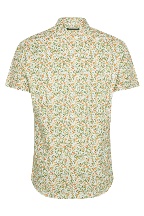 A Fish Named Fred 31.053 Short Sleeve Men's Shirt Citrus - Light Green - Dotique