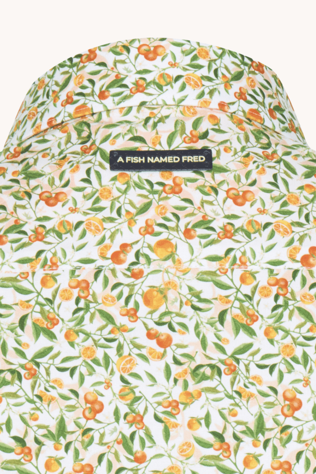 A Fish Named Fred 31.053 Short Sleeve Men's Shirt Citrus - Light Green - Dotique