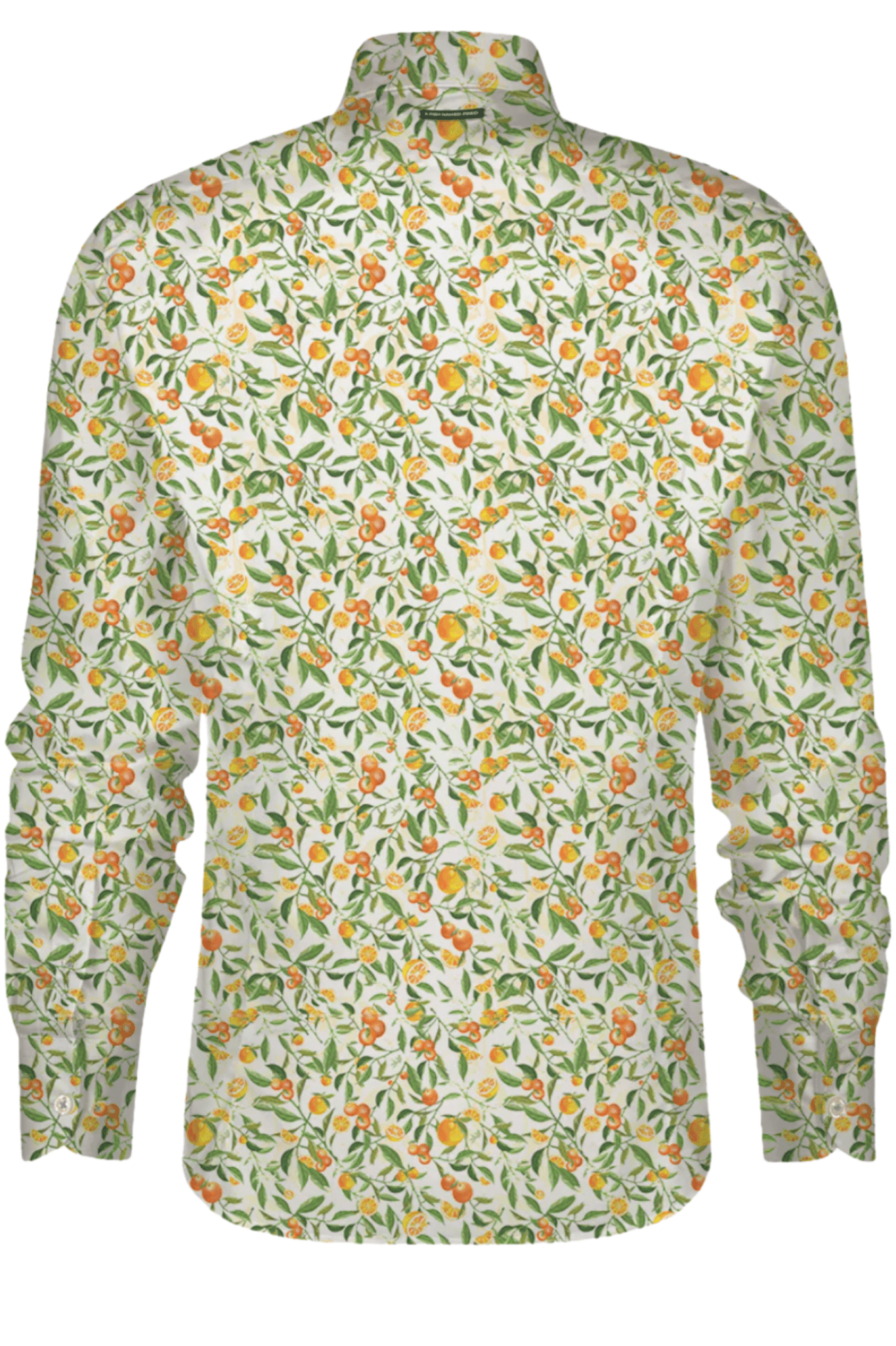 A Fish Named Fred Men’s Shirt Light Green Citrus 31.003