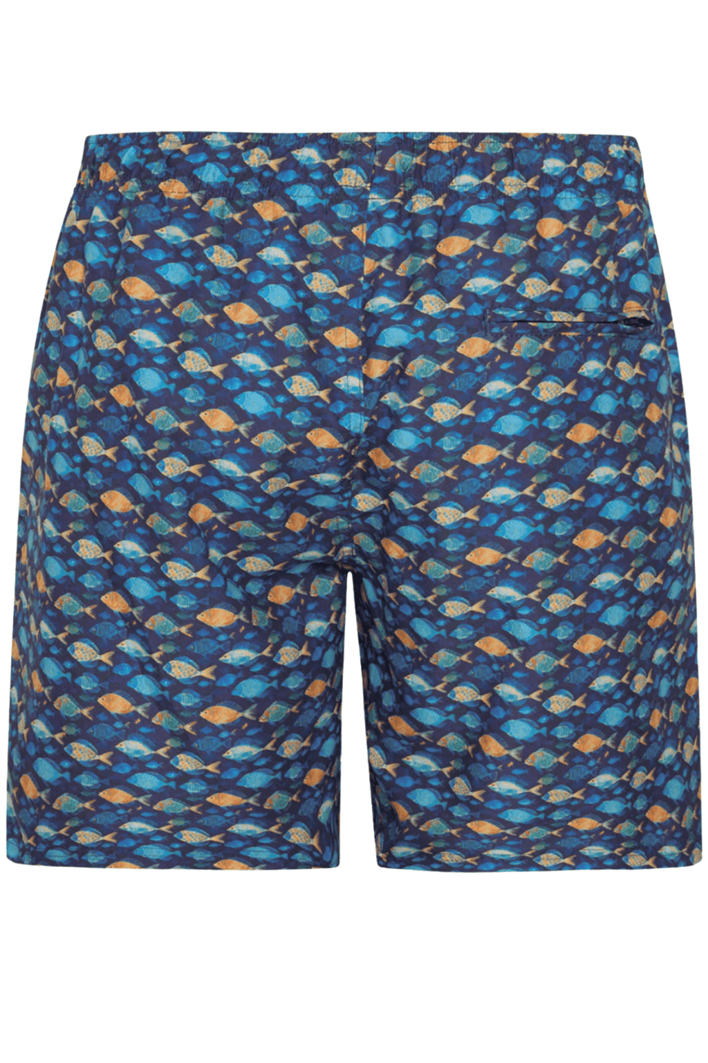 A Fish Named Fred Men’s Swimshort Navy Fish - 31.256- Dotique