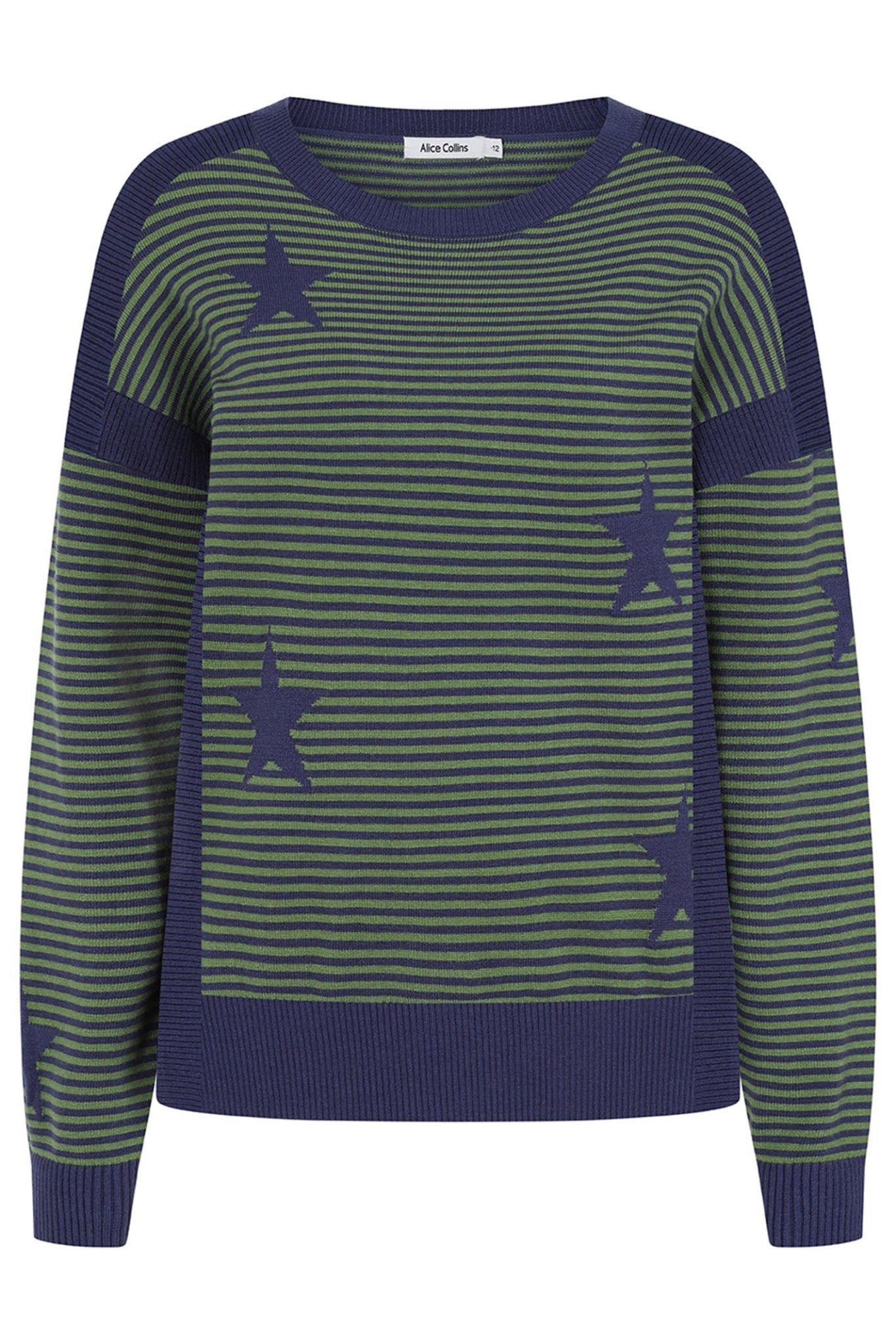 Alice Collins 033A278 Navy Cactus Green Una Jumper - Dotique - Alice Collins