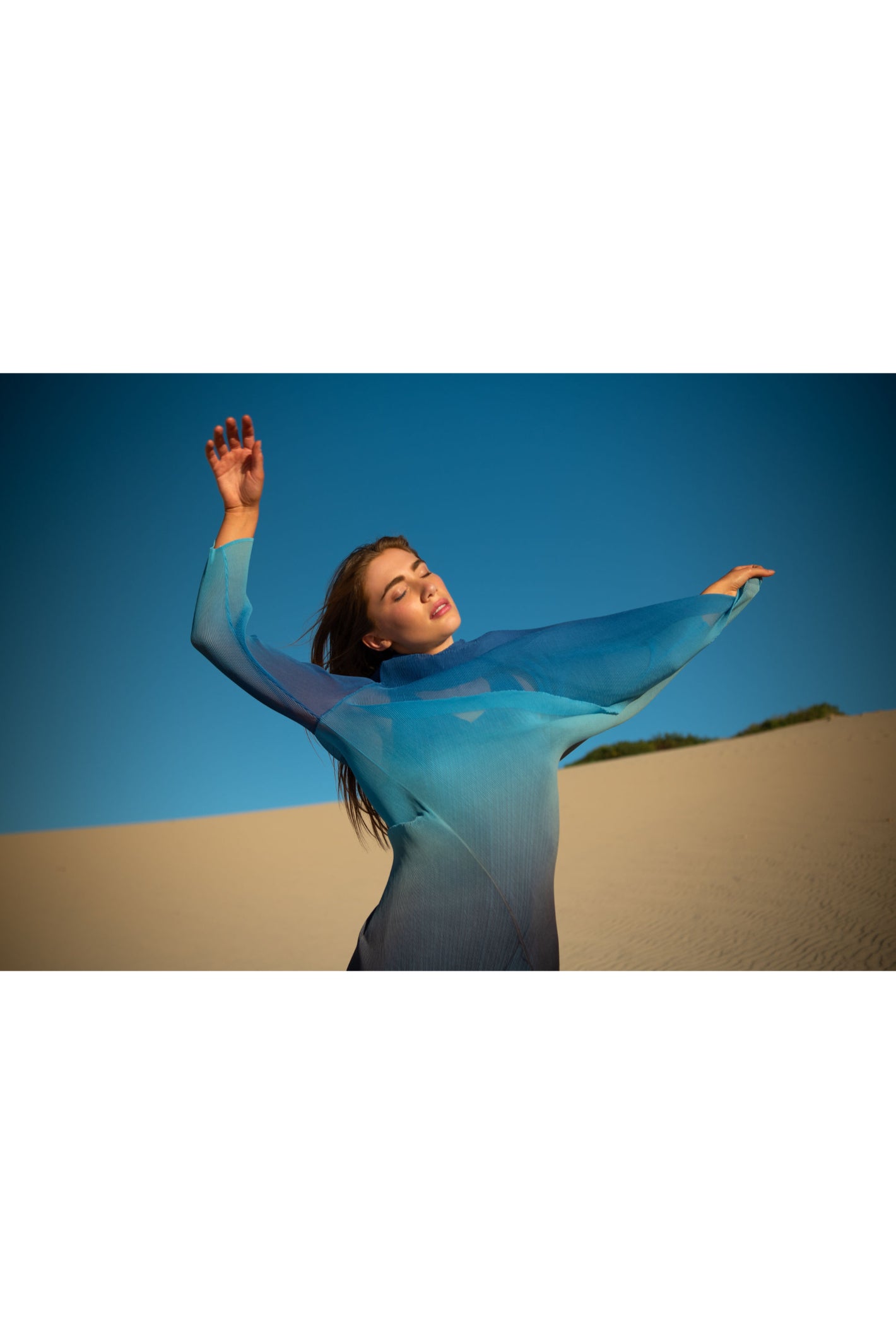 Alquema AC2404 & AD1072L Tanzanite to Black  Estrella Dress and Collare Coat