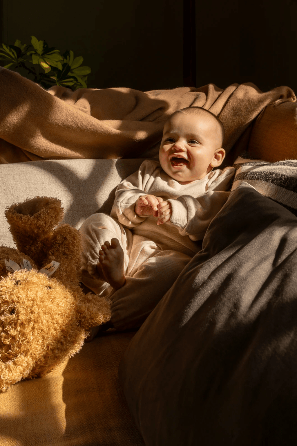 Chalk Mini Babies Chick Set Cream - Dotique - Chalk