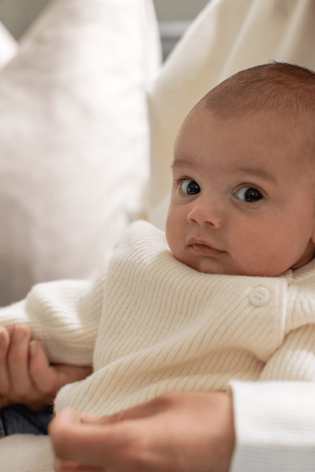 Chalk Mini Babies Piglet Set Cream - Dotique - Chalk