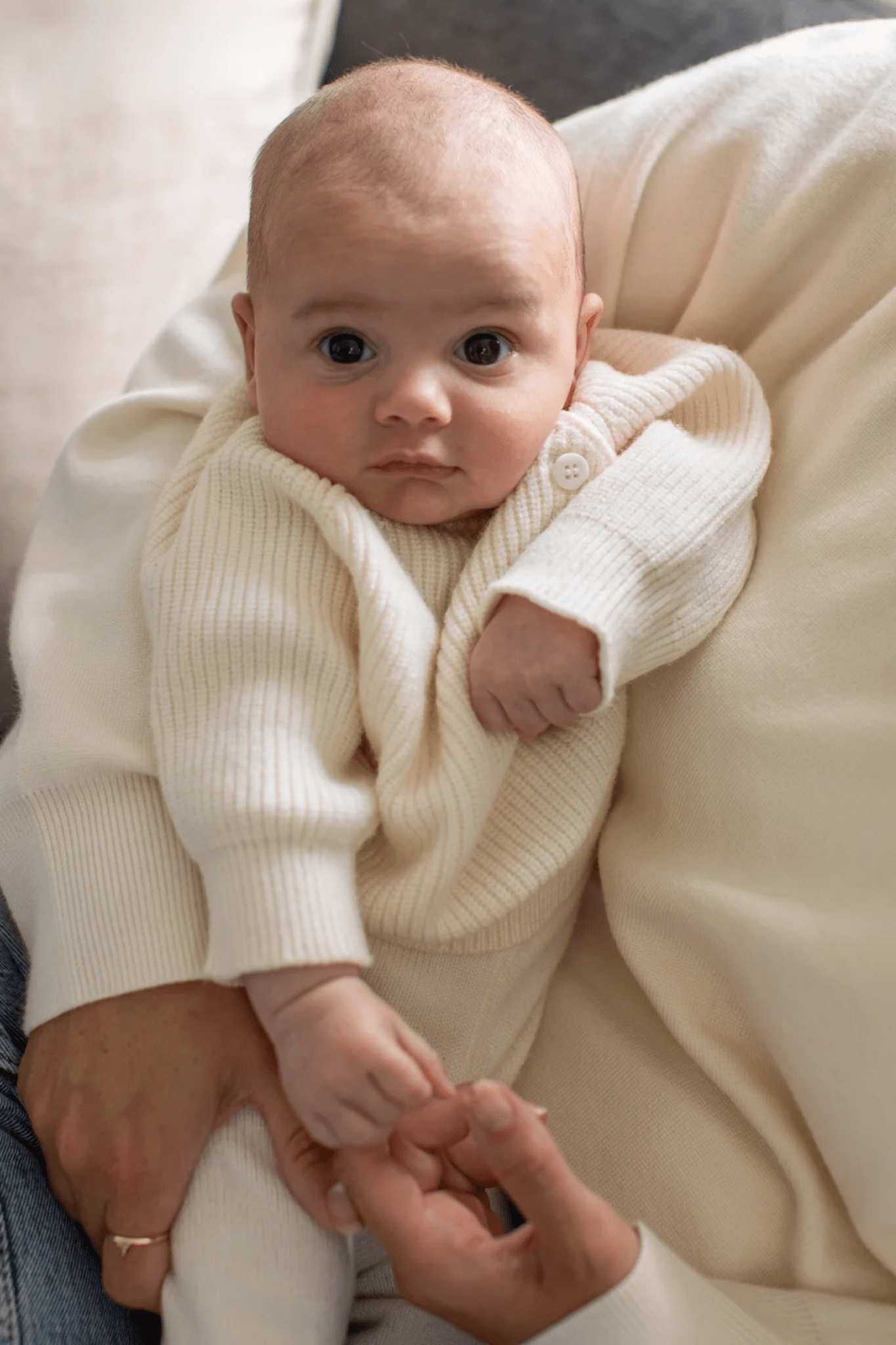 Chalk Mini Babies Piglet Set Cream - Dotique - Chalk