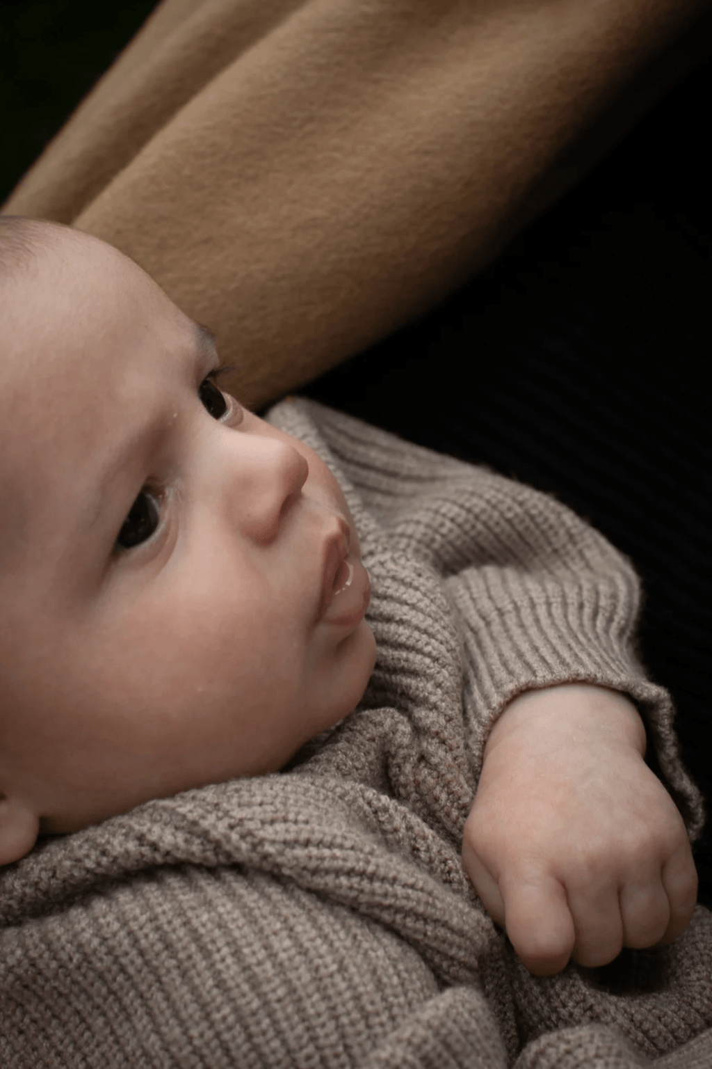 Chalk Mini Babies Piglet Set Marl Beige - Dotique - Chalk