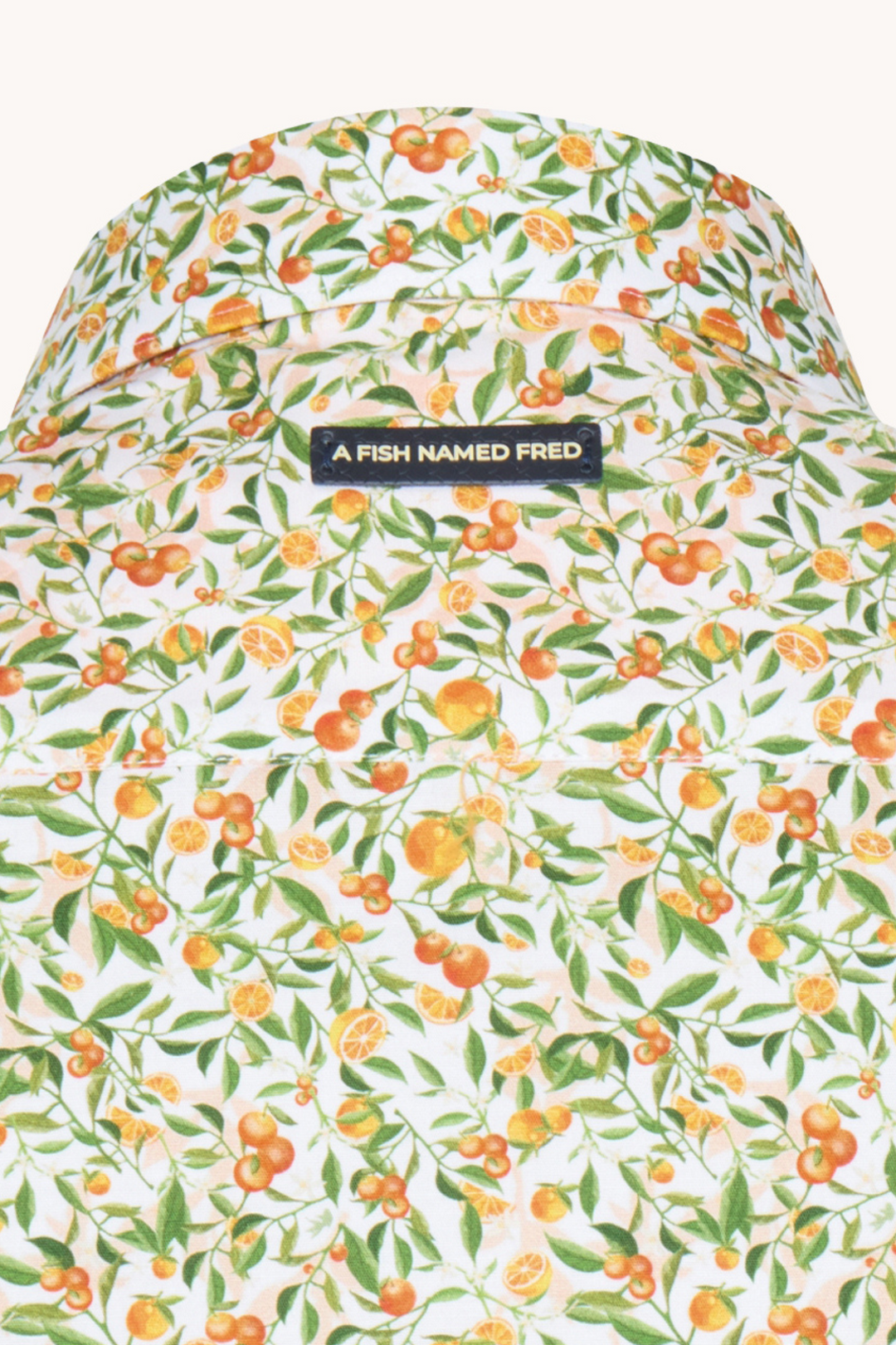 A Fish Named Fred 31.053 Short Sleeve Men's Shirt Citrus - Light Green
