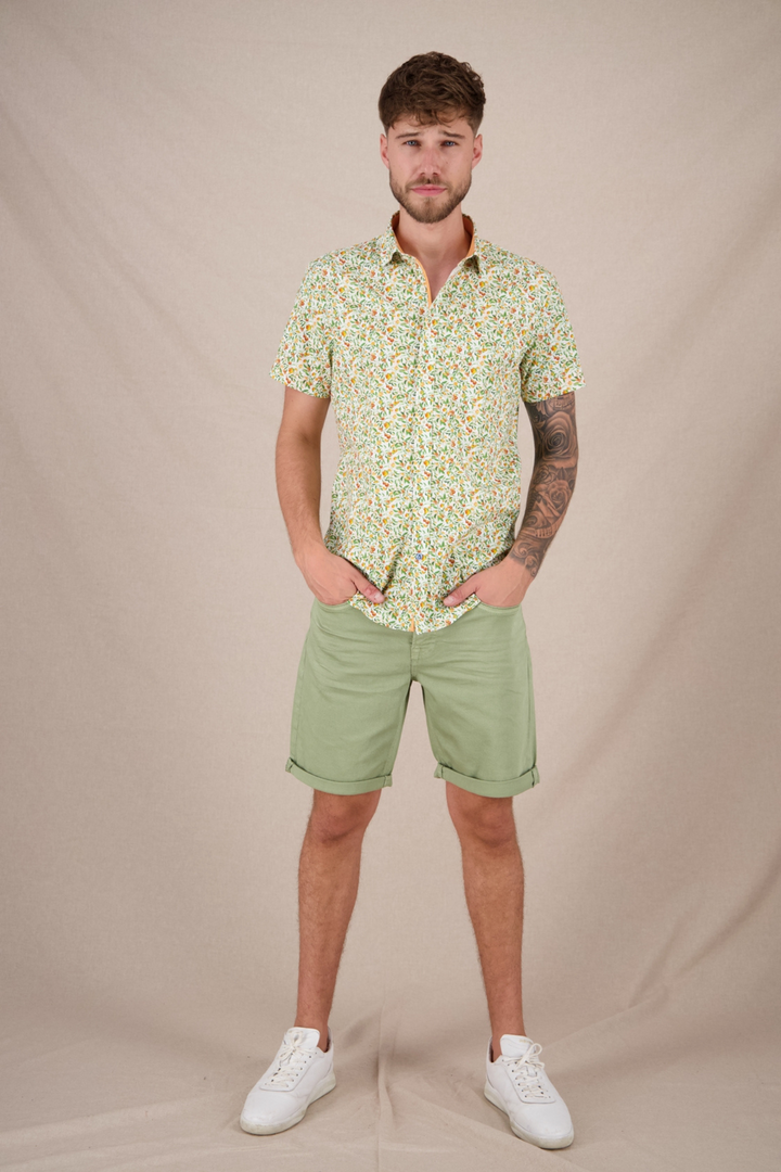 A Fish Named Fred 31.053 Short Sleeve Men's Shirt Citrus - Light Green