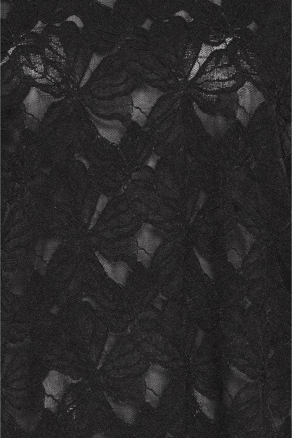 Fransa 20617655 FRMIRABELLE BL 2 Lace Top Meteorite - Dotique - Fransa