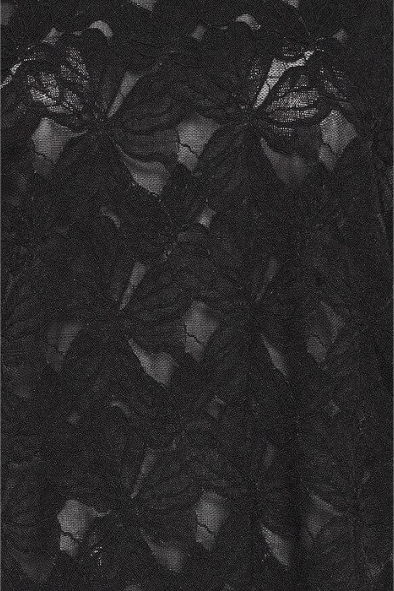 Fransa 20617655 FRMIRABELLE BL 2 Lace Top Meteorite - Dotique - Fransa