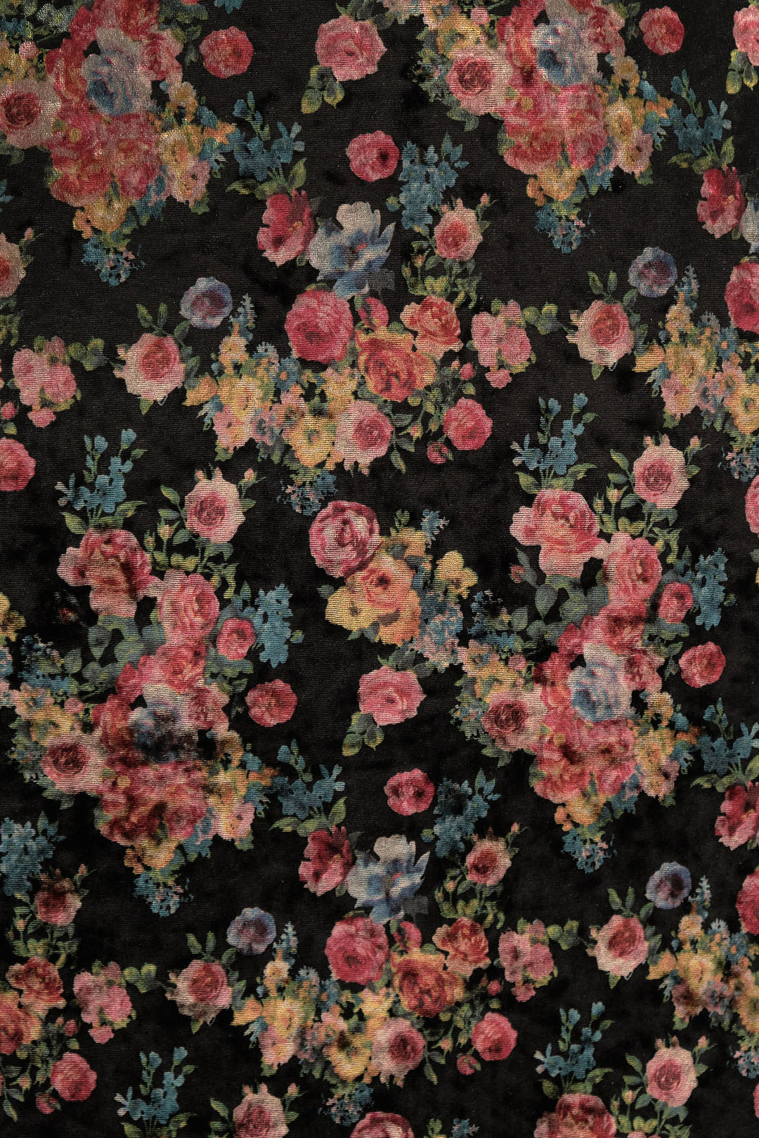 Louche Lesley Black Velvet Rose Bowl Print Wrap Midi Dress - Dotique