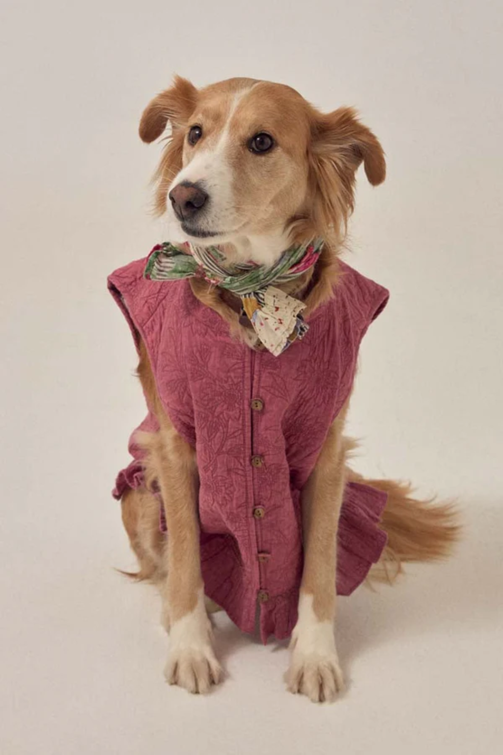 Dog wearing Maison Hotel Mia Vest Peonia Punk Pink styled with scarf, shop Maison Hotel at Dotique for unique layering pieces