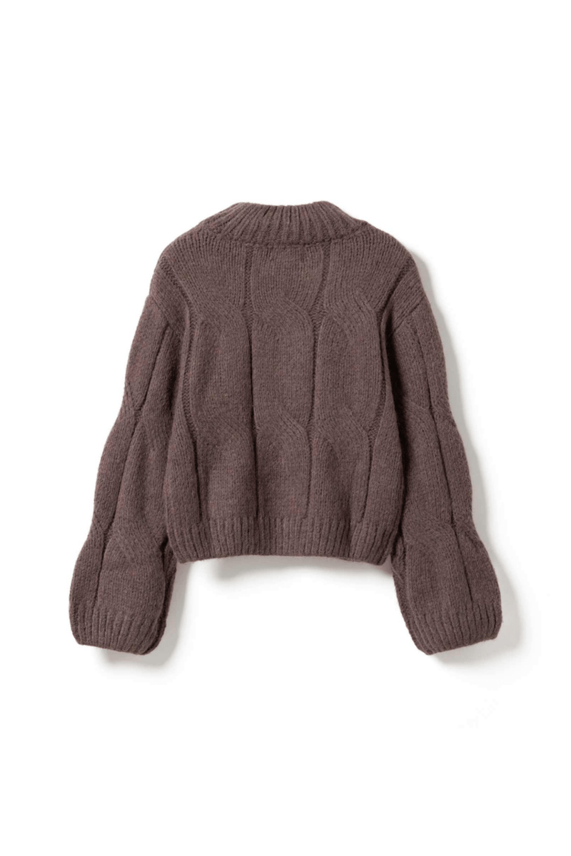 Noella 13780001 Lynx Knit Jumper Morel Brown – Dotique