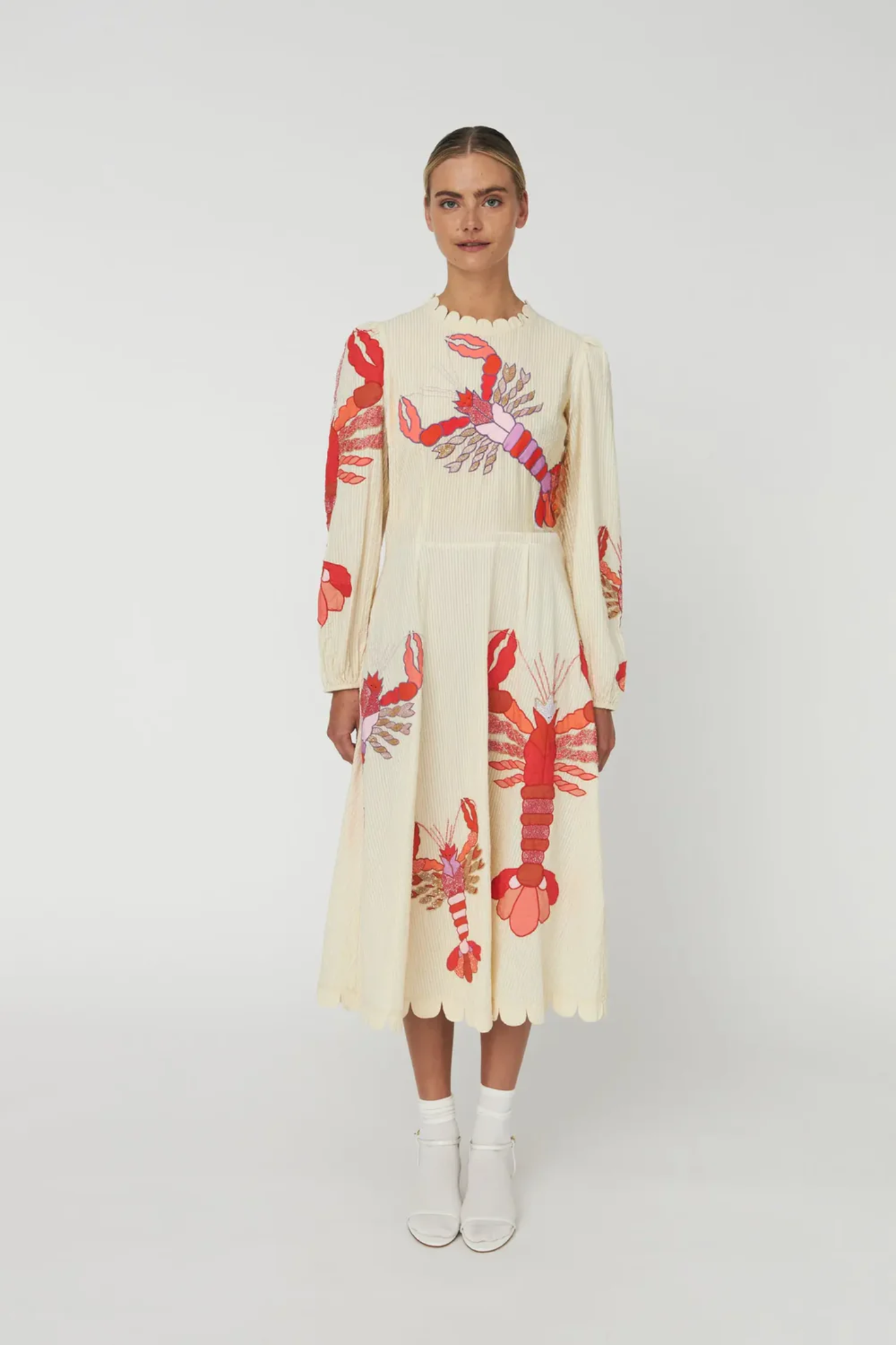 Stella Nova multicolour embroidered midi dress with A-line skirt and detailed trims