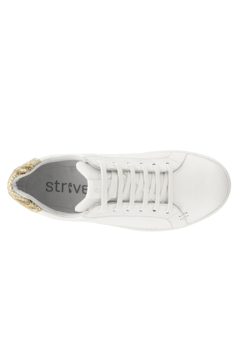 Strive Dakota White Snake Trainers - Dotique