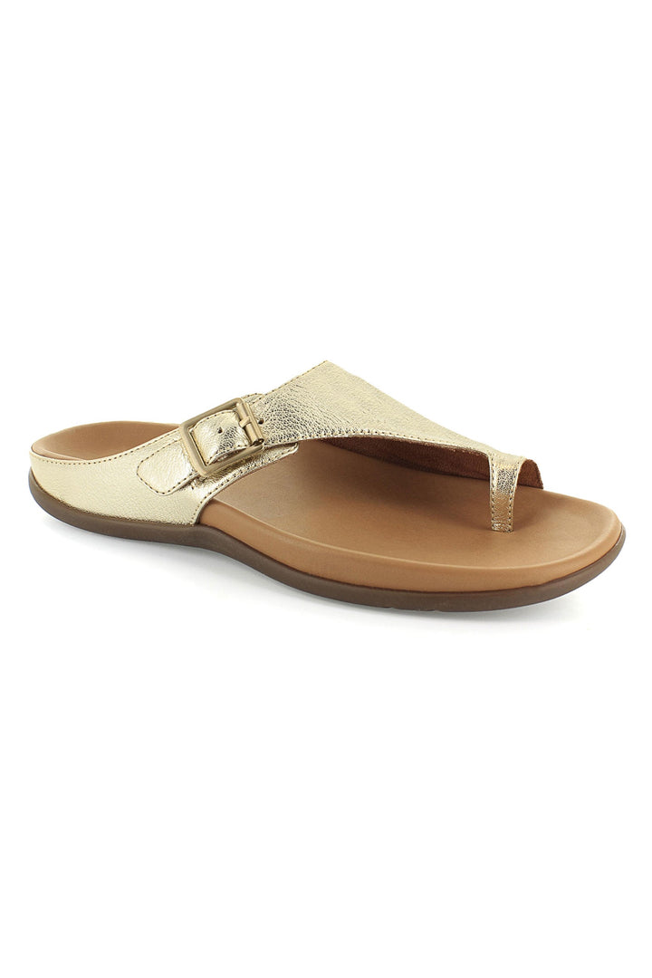 Strive Java II Light Gold Sandal - Dotique