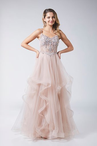 Tiffanys Wren dotique prom dress